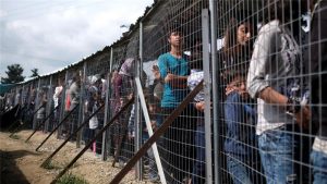 555297_430020637070876_1192301468_n-480x320