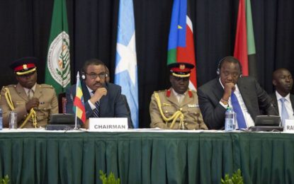 IGAD Leaders to Help Send Refugees Back Home