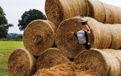 102 villagers, 750 refugees, one grand experiment