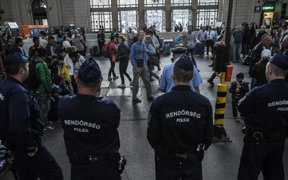 EU falls short of goal for relocating refugees: Report