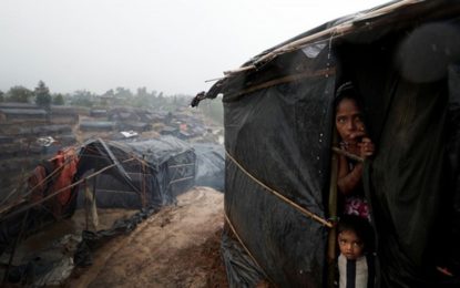 Govt, humanitarian community to ensure health services in Rohingya camps: IOM