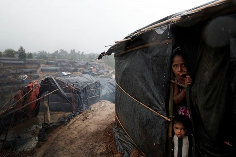 Govt, humanitarian community to ensure health services in Rohingya camps: IOM