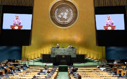 Bangladesh urges greater international action on Rohingya status