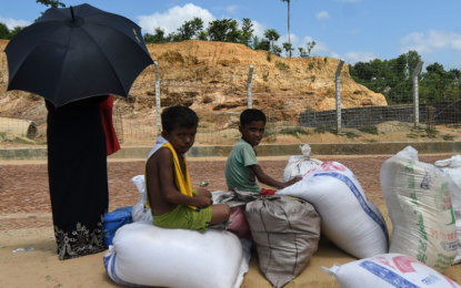 Calls for international recognition of Rohingya genocide grow