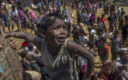 EU mobilizes international donors to support Rohingya refugees and countries in the region