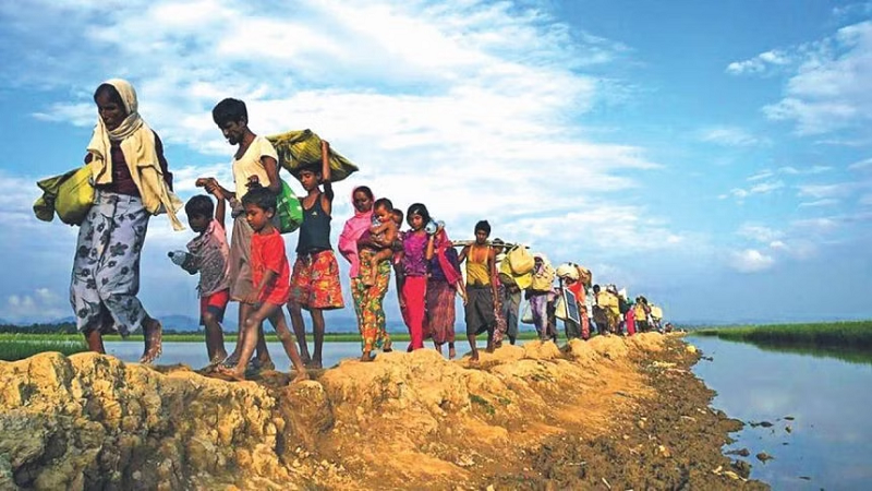 Tambru Border: Verification of Rohingyas begins today