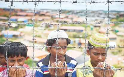 Rohingya crisis calls for more than just diplomacy