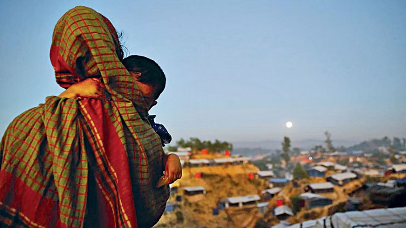 The Rohingya feel pangs of hunger too