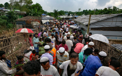 Rohingya refugees swindled by Turkish humanitarian organization