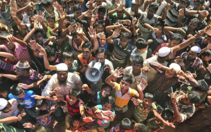 Bangladesh: Halt ‘Pilot’ Plan to Return Rohingya