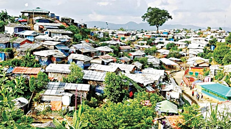 Japan to continue to support resolving Rohingya issues: envoy